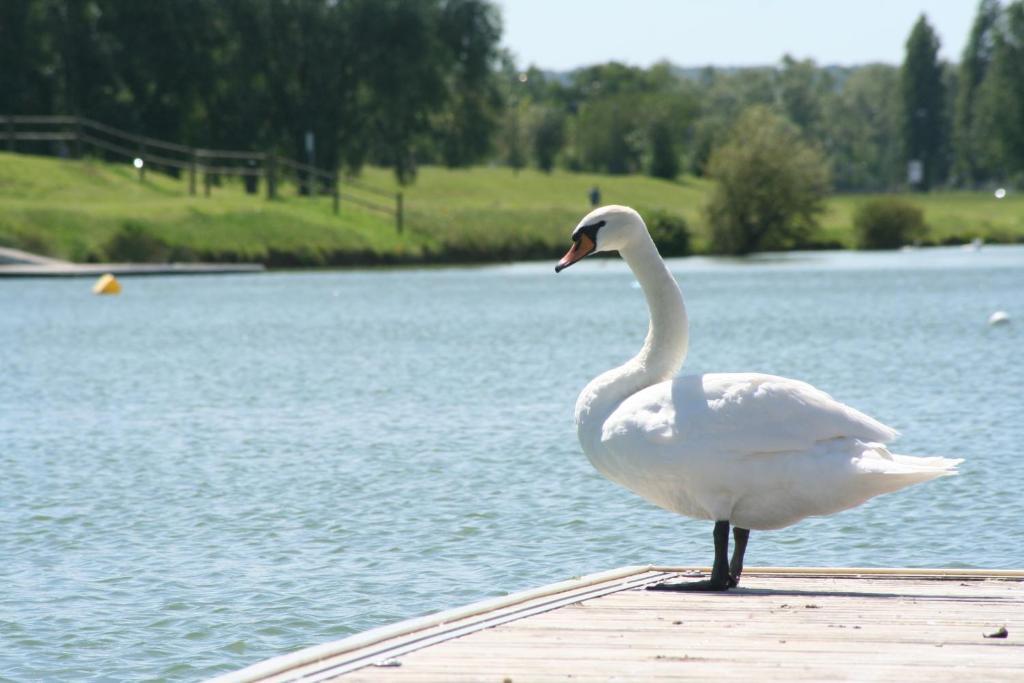 Ibis Budget Mantes-La-Jolie Esterno foto